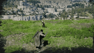 Nature's Echo skill animation in Crimson Desert