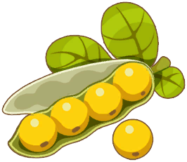 Soybean