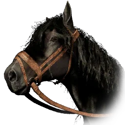 Calphadean Scout's Horse