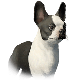 Pointy-Eared Bulldog lifeform icon from Crimson Desert