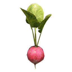 Sugar Beet icon from Crimson Desert
