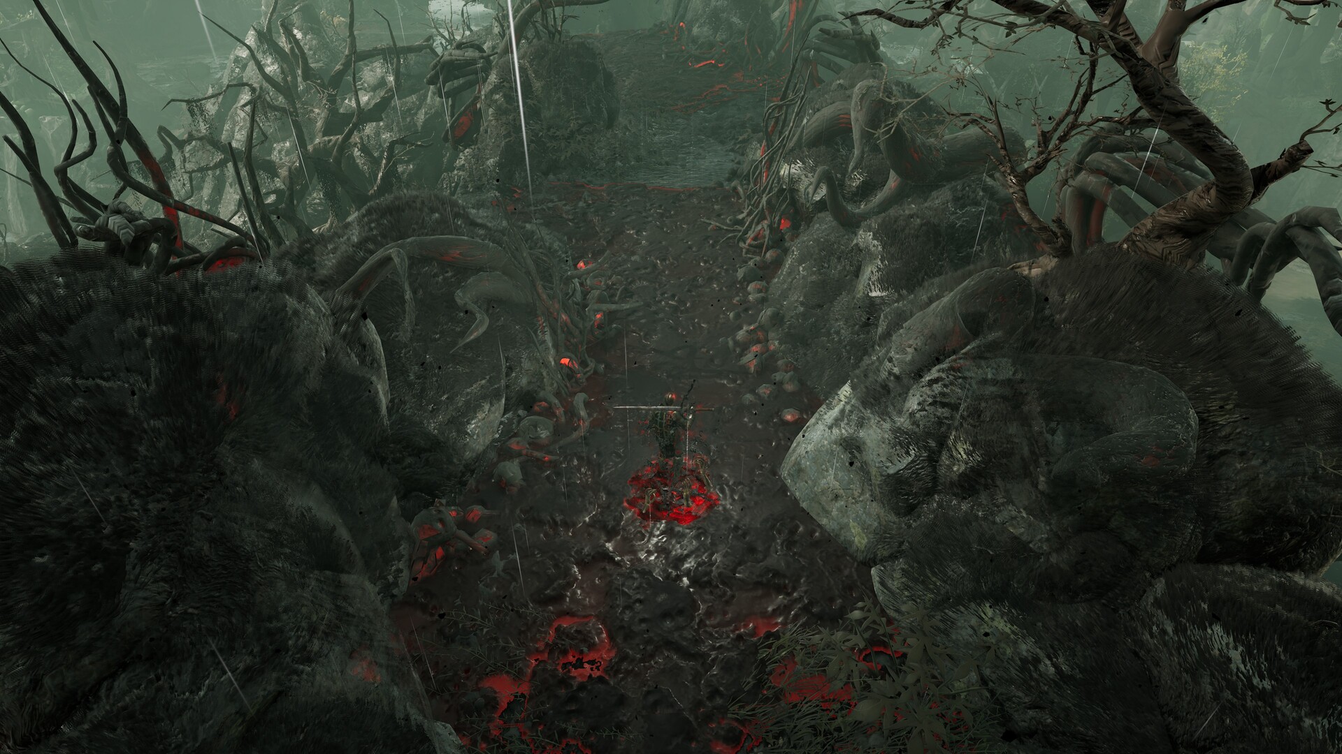 A knight pushes up a ravine where red light bleeds from cracks in the ground and the trees have gone bare