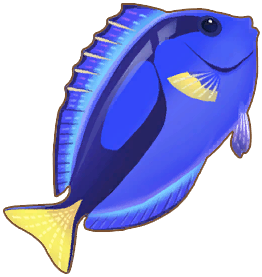 Blue Tang