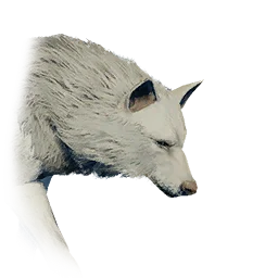 Large White Wolf