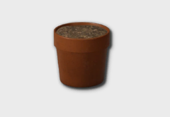 Bell Pepper outdoor furniture item in inZOI