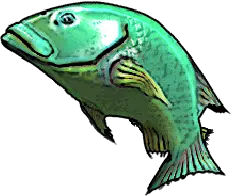 Emerald Bluefish