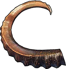 Mountain Goat Horn