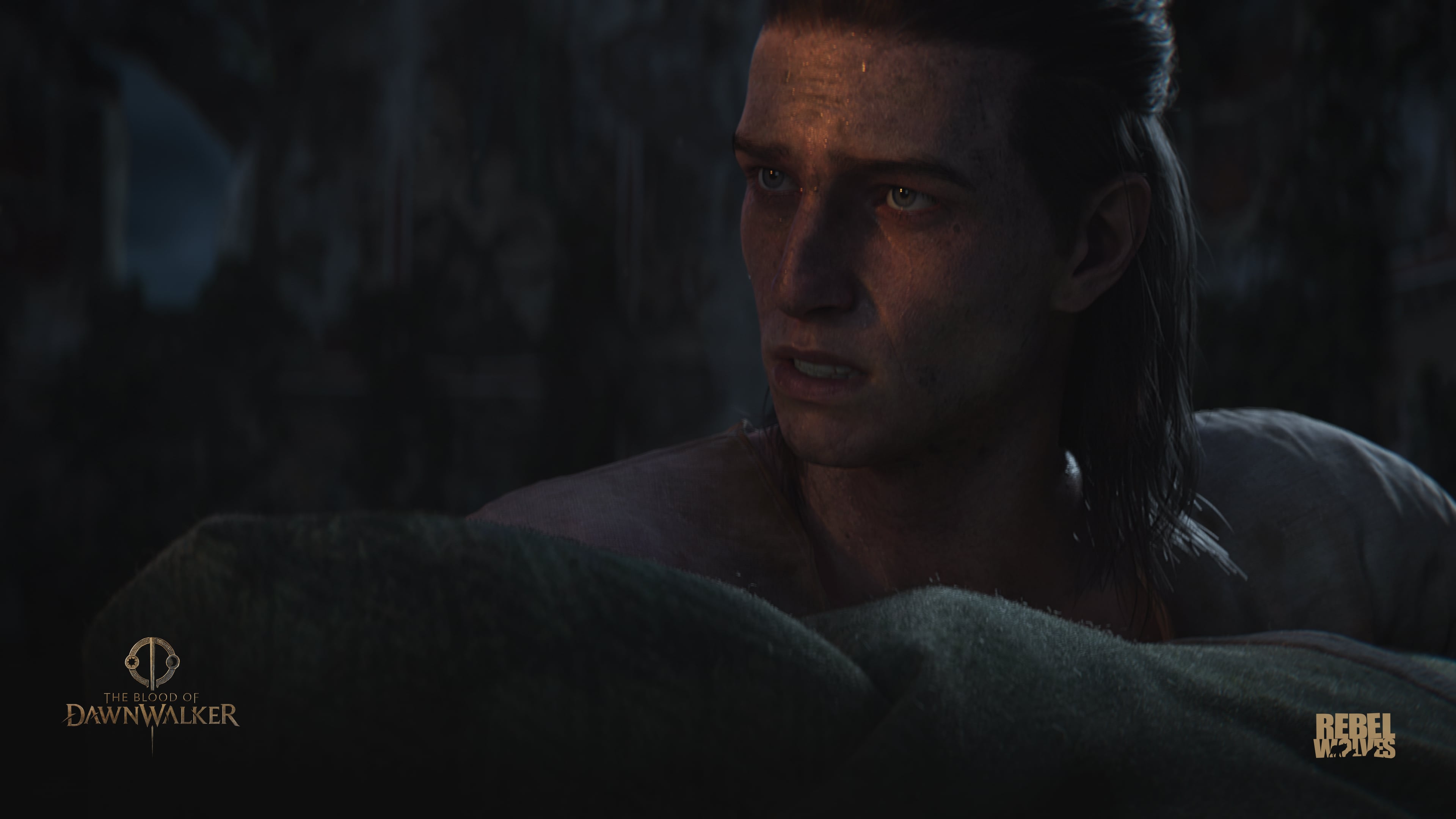 Reveal screenshot — Coen overlooking Vale Sangora at dawn