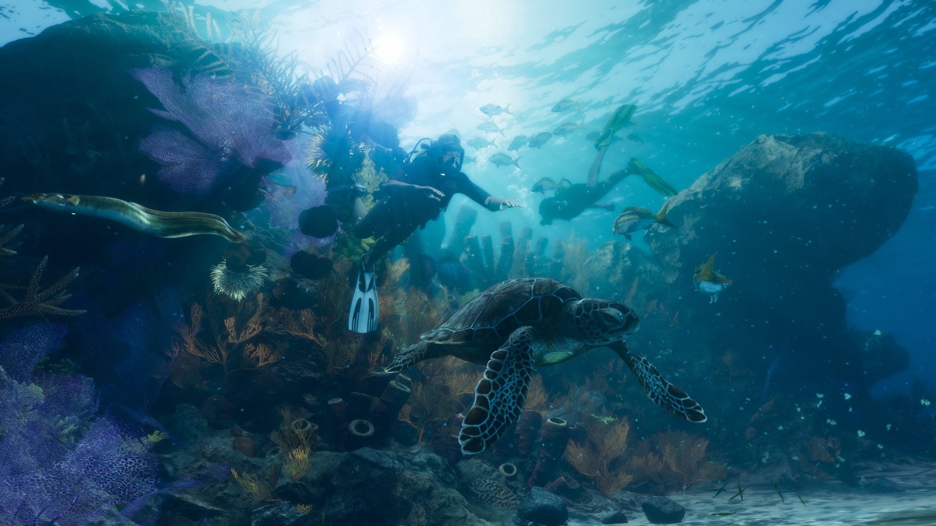 Leonida Keys waterfront with boats and tropical vegetation