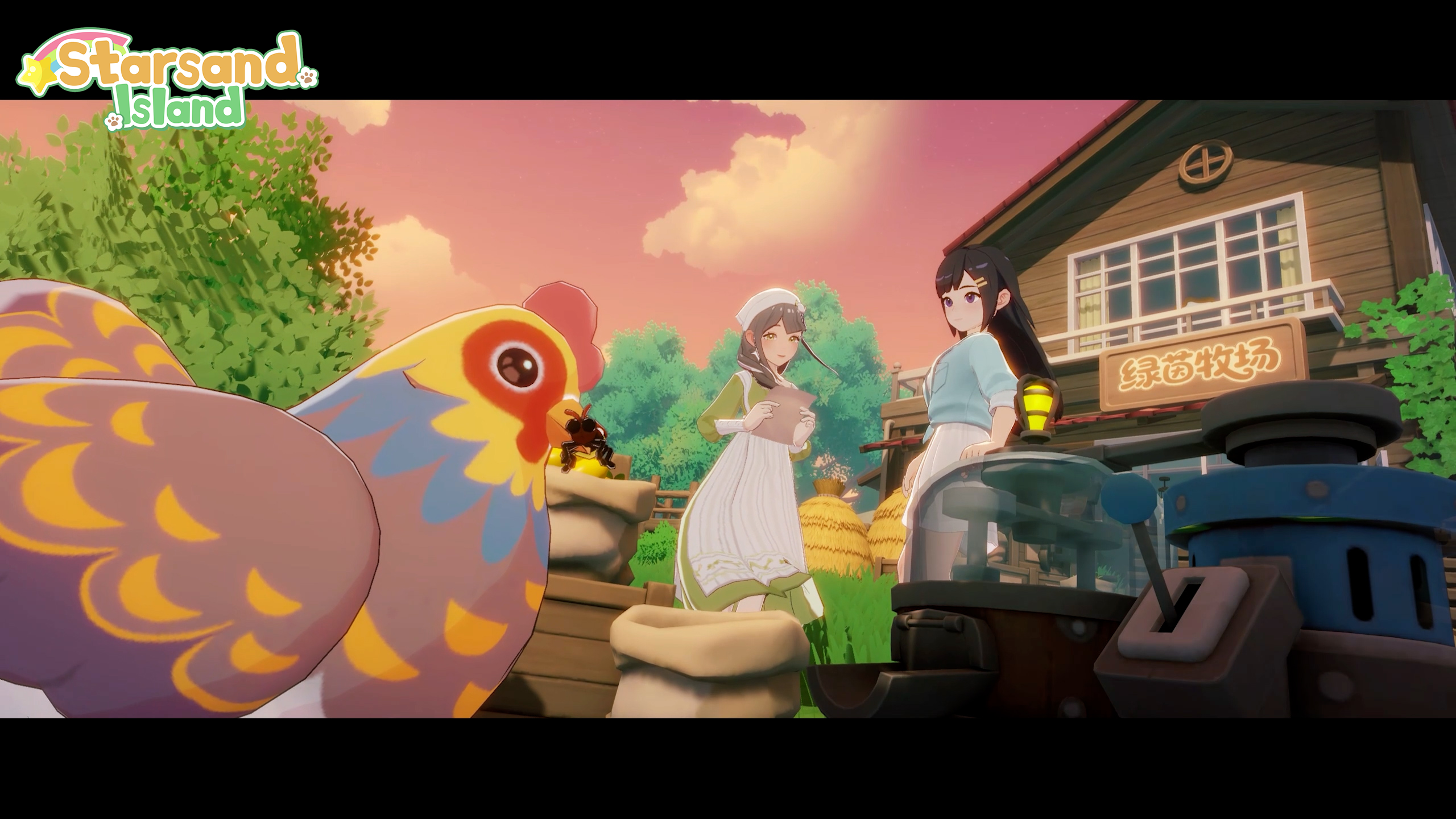 Characters and relationships