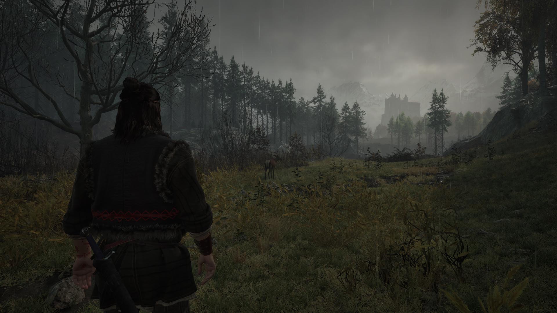 Vale Sangora sweeping landscape — official Xbox press screenshot