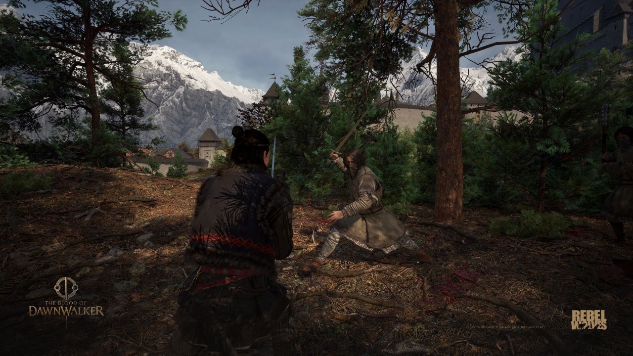 Combat system — melee fighting with the Peregrini Aurorae sword