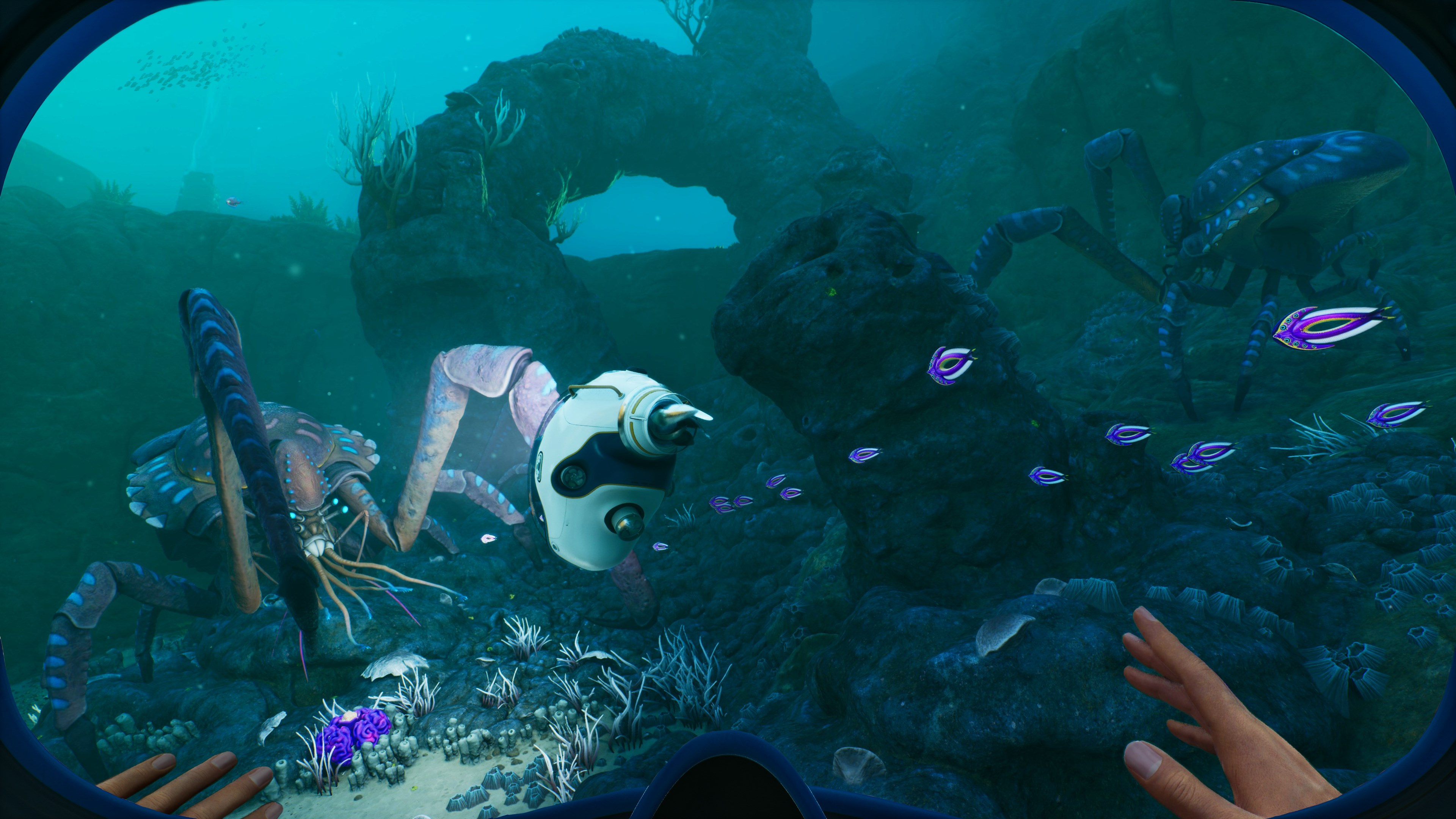 Subnautica 2 official press screenshot showing alien marine life and coral formations