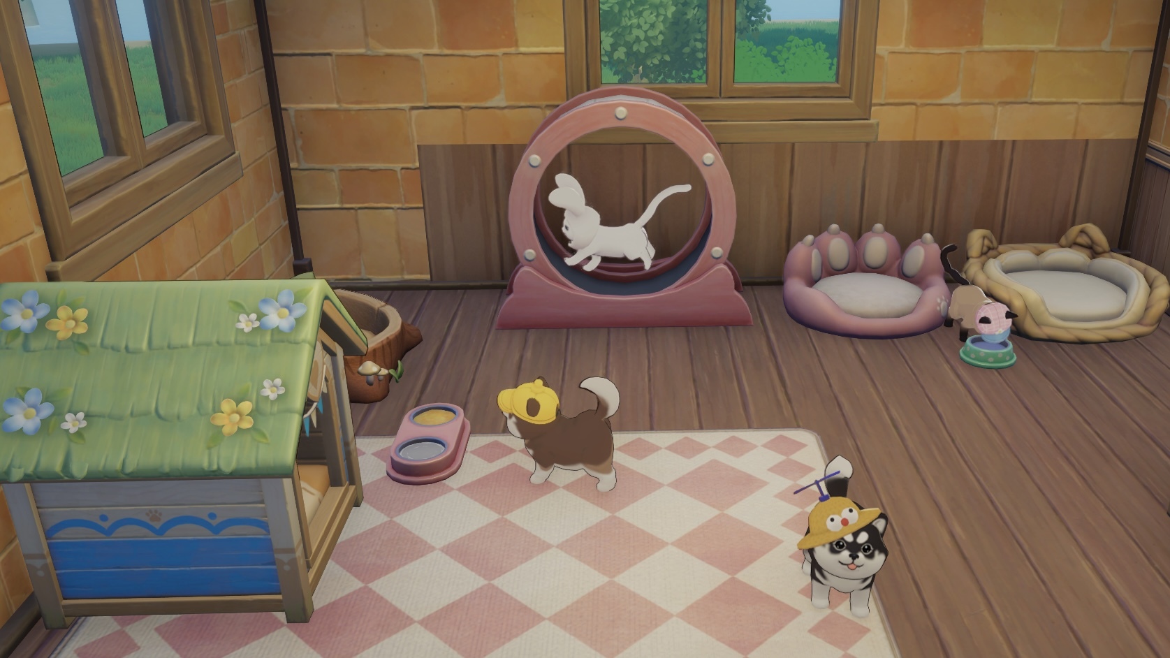 Pet following the player around the island