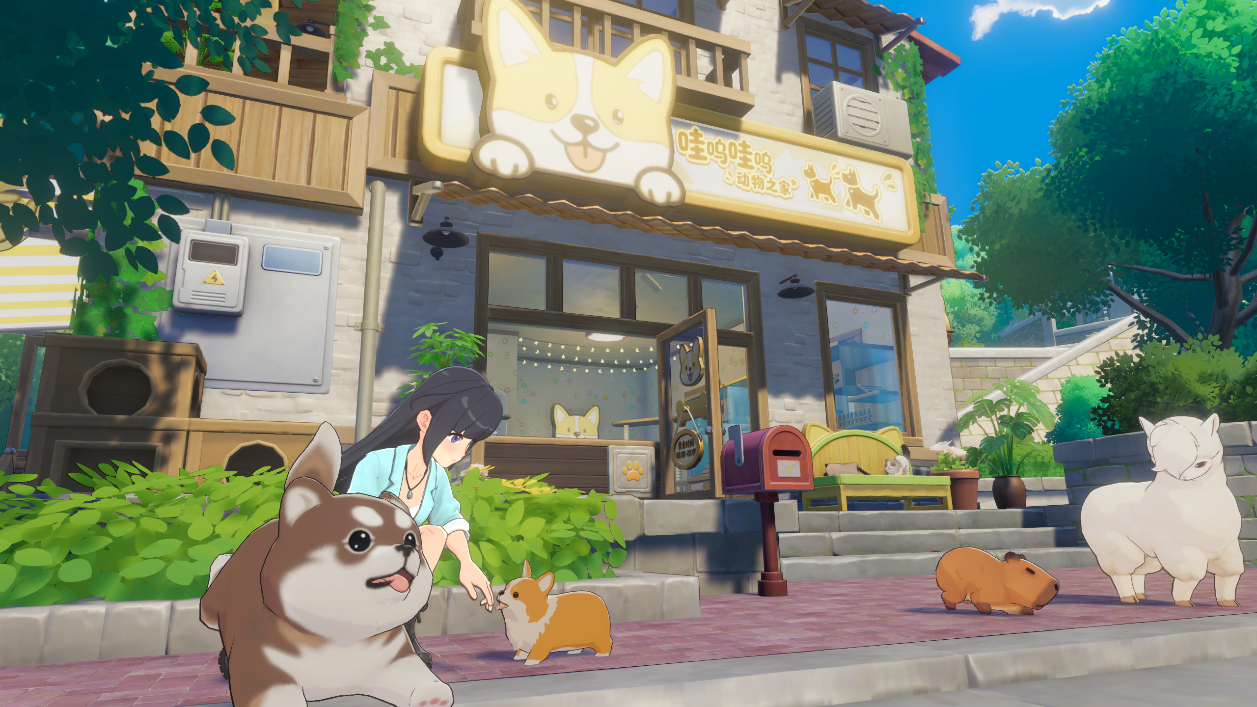 Bonding with a pet through daily interaction