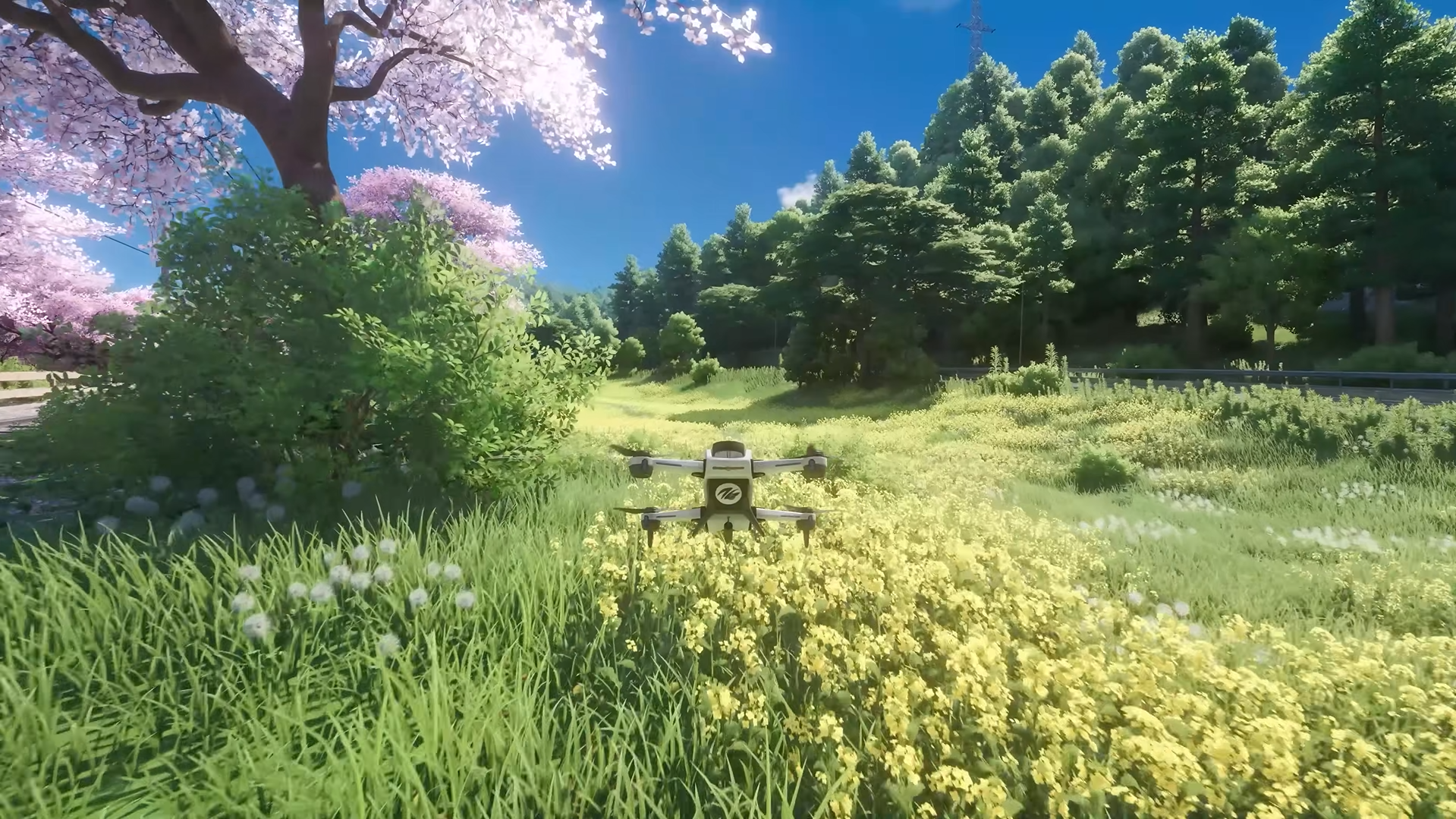 Drone view of Hethereau's natural scenic areas and greenery