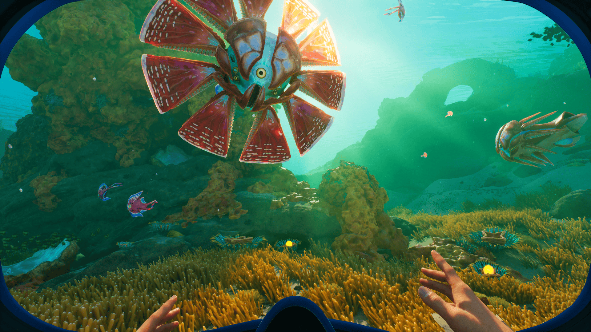 The Shallows biome with colorful coral and marine life near the surface in Subnautica 2