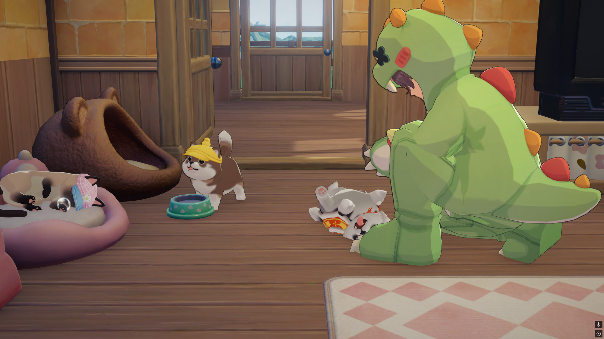 Pet outfits and accessories