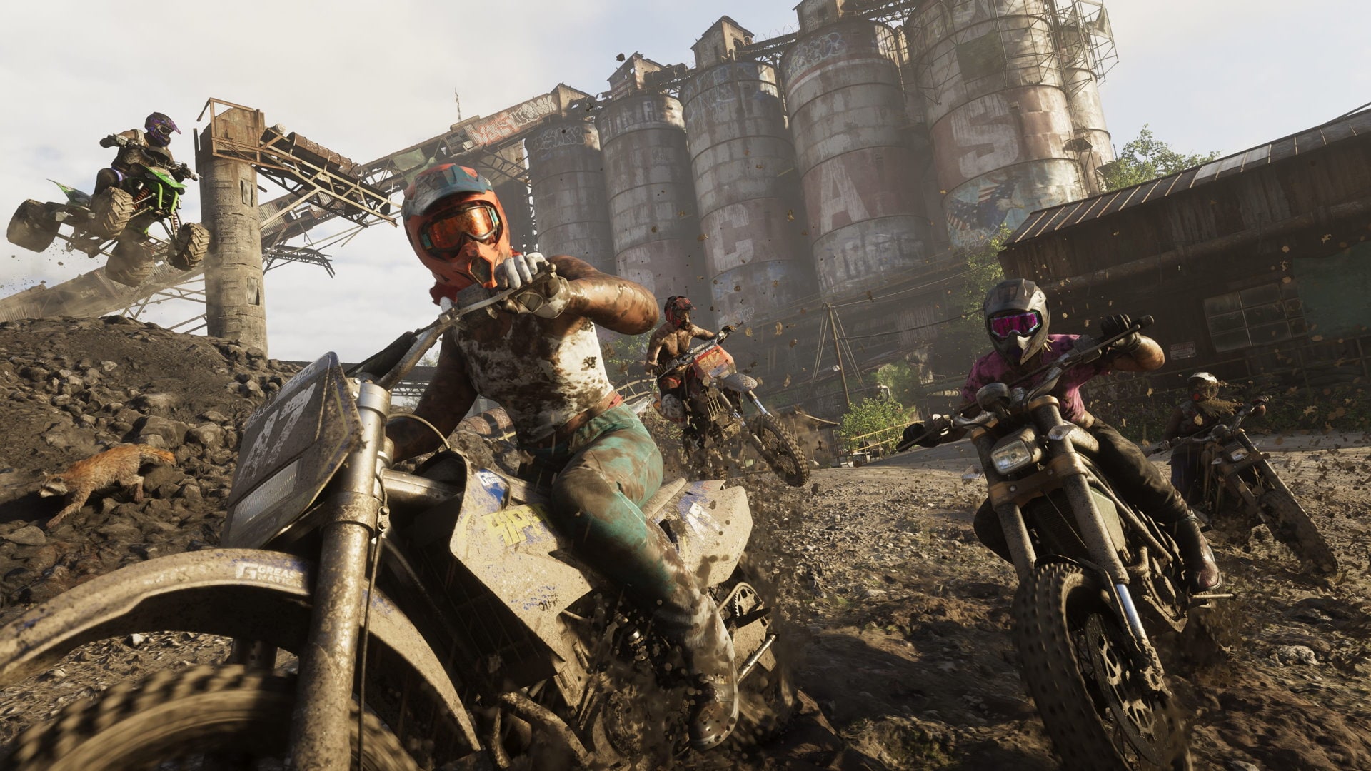 Mount Kalaga National Park dense forest trail