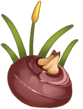 King Water Chestnut