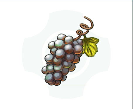 Grapes icon