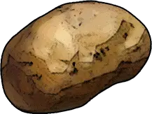 Sweet Potato