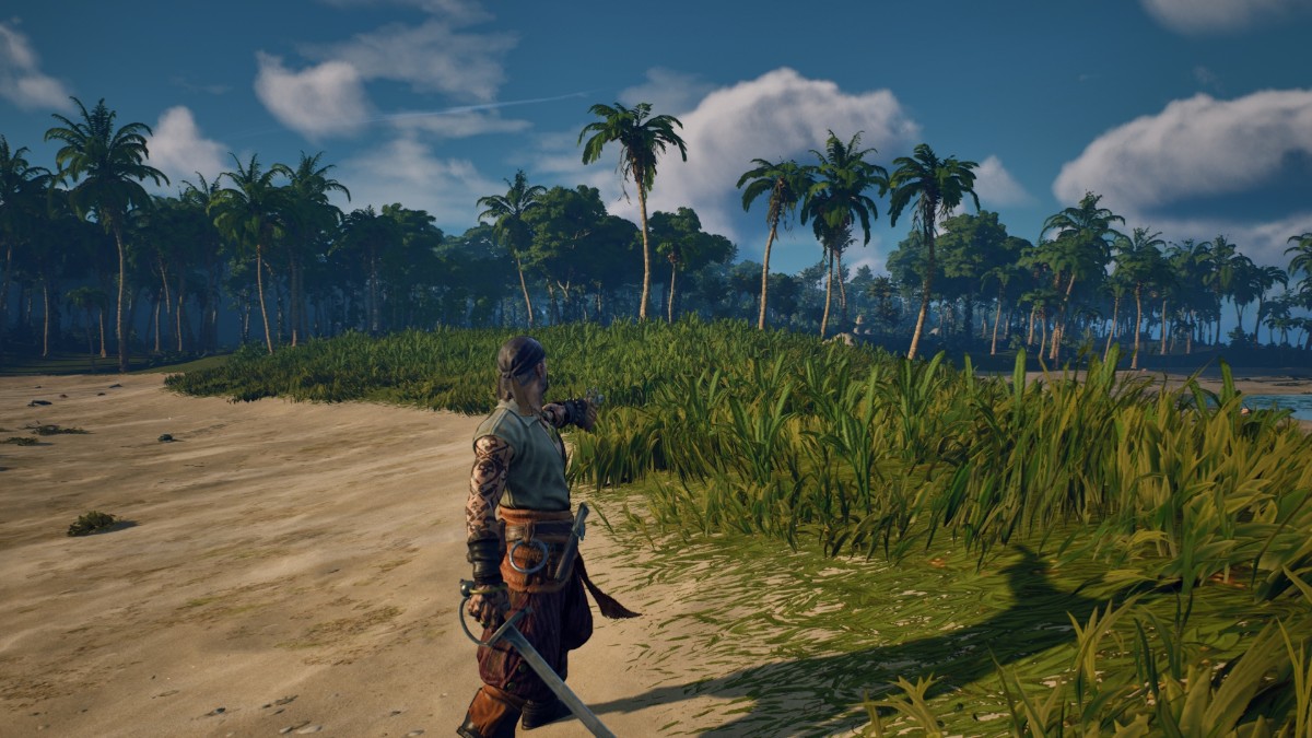 Windrose player aiming a flintlock pistol at an enemy