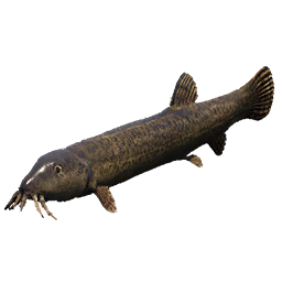 Pond Loach fish icon from Crimson Desert