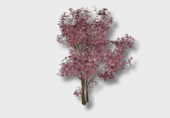 Cherry Plum Tree outdoor furniture item in inZOI