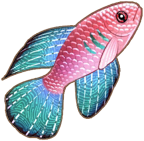 Magnificent Killifish