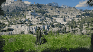 Shield Sentinel skill animation in Crimson Desert