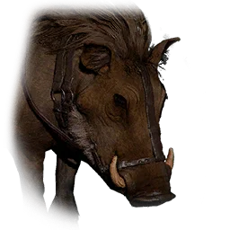 Small Black-Maned Boar