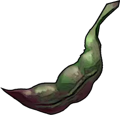 Beans
