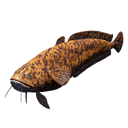 Burbot fish icon from Crimson Desert