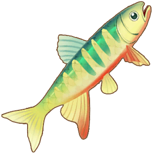 Chinese Hooksnout Carp
