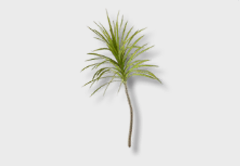 Titled Willow Tree outdoor furniture item in inZOI