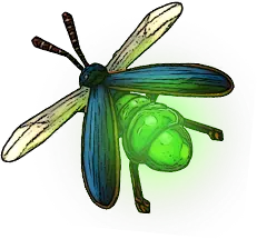 Firefly