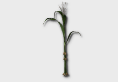Corn Seedling outdoor furniture item in inZOI
