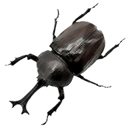 Rhinoceros Beetle insect icon from Crimson Desert