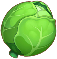 Cabbage