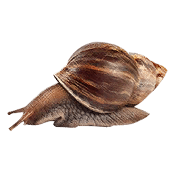 Snail icon from Crimson Desert
