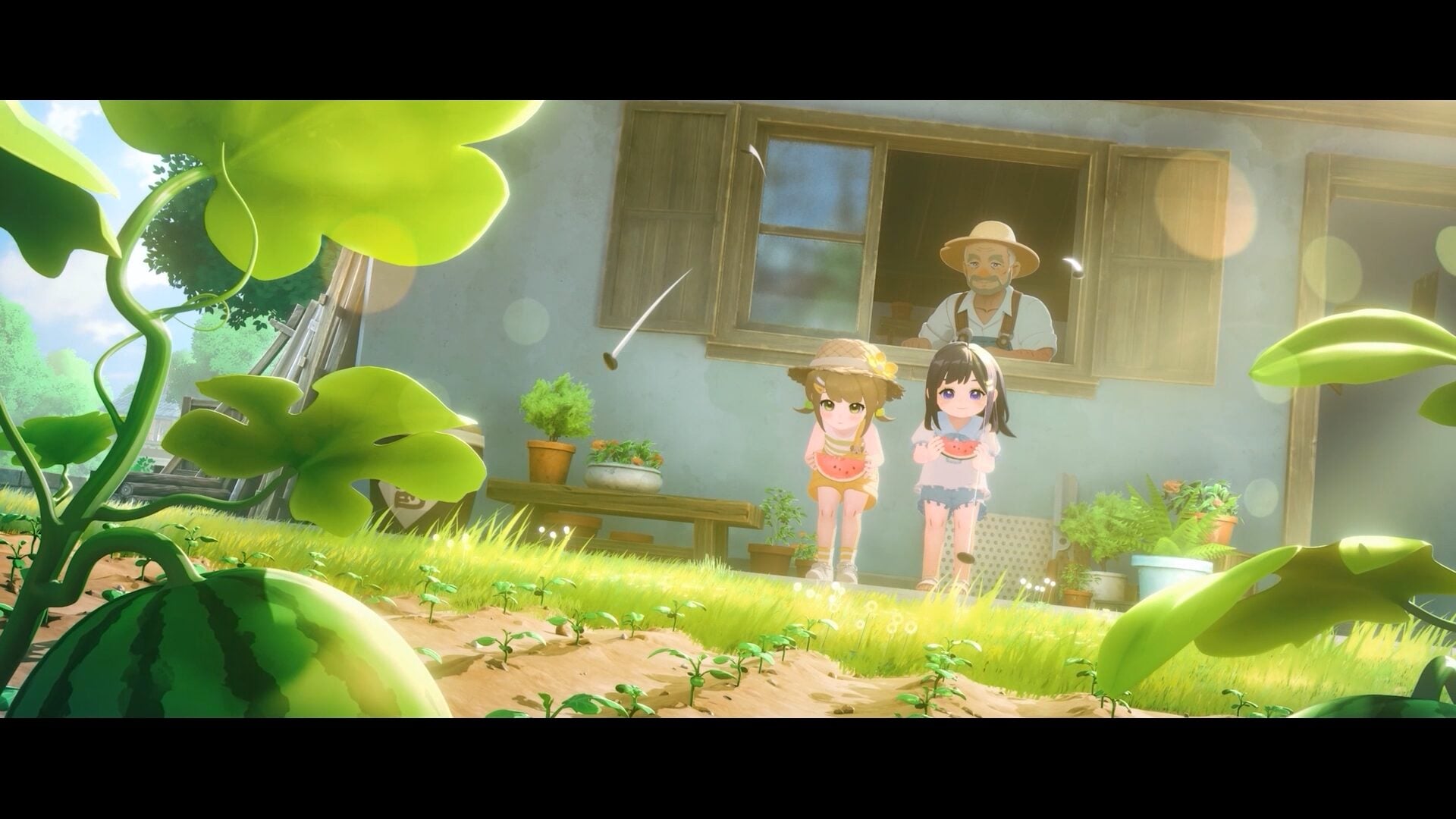 Watermelon farm with an elderly NPC villager