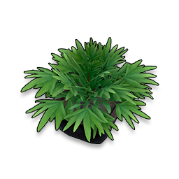 Lush Greenery icon
