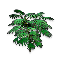 Olive Ferns icon