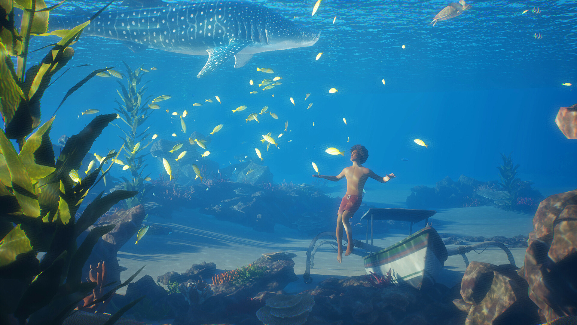 A Zoi diving underwater alongside a whale shark and tropical fish