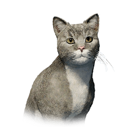 Pororin Cat lifeform icon from Crimson Desert