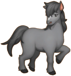 Black Horse