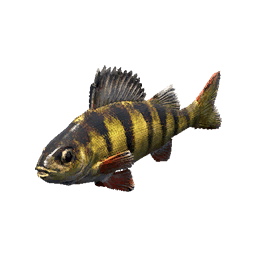 Perch fish icon from Crimson Desert
