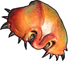 Crab Shell