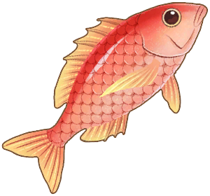 Redfish